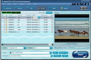Aogsoft DVD to DivX Converter  3.3