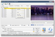 UM DVD to 3GP Video Converter  2.2.1.9