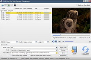 UM DVD to IPad Video Converter  2.1.3.1