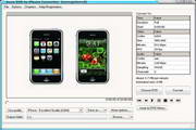 Avex DVD to iPhone Converter  4.0 Build 01