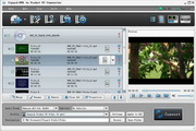 Tipard DVD to Pocket PC Converter  6.1.50