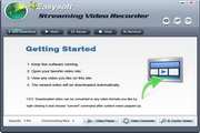 4Easysoft Streaming Video Recorder  3.1.06