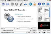 4Leaf DVD to FLV Converter  1.7