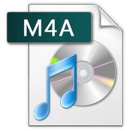 Earth DVD To MP3 Converter  2.0