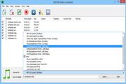 ESFSoft Video Converter  1.02