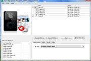 Agrin Rip DVD to AVI DIVX MP4 FLV Ripper  4.2