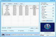 DDVideo FLV Video Converter  2.0