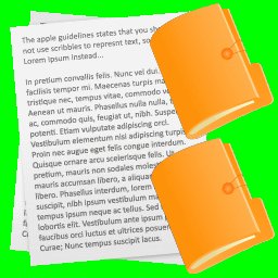 USAsoft DVD Video DivX Converter  5.1