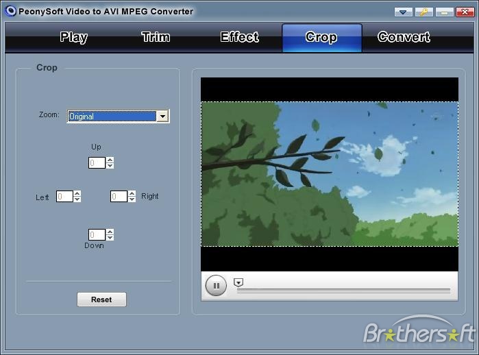 PeonySoft Video to AVI/MPEG Converter  2.2.1