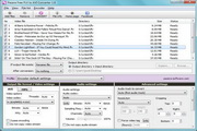 Pazera Free FLV to AVI Converter  1.9