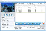 Joboshare DVD to WMV Converter  3.5.5.0507