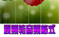 佳佳视频转音频转换器  4.0.5.0