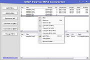 SWF FLV to MP3 Converter  3.0 Build 569